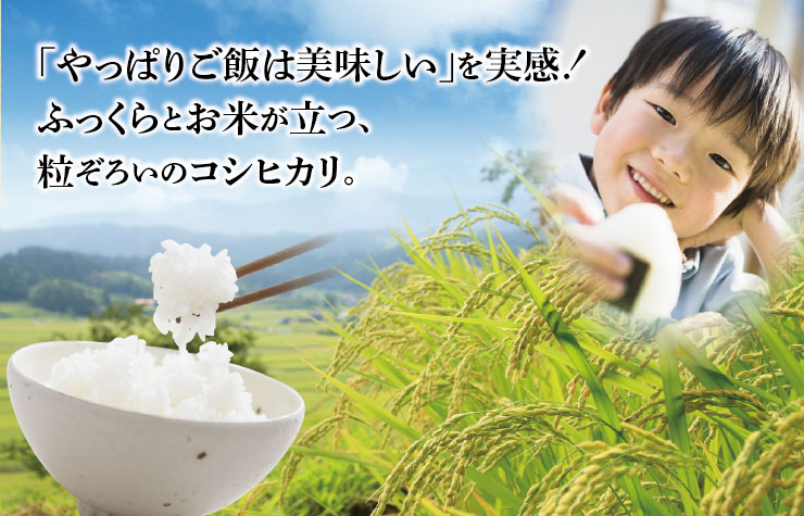 「やっぱりご飯は美味しい」を実感！粒ぞろいのコシヒカリ